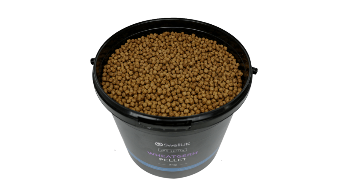 小麦胚芽富含纤维，是冬季池塘鱼进入类似冬眠模式时的理想食物