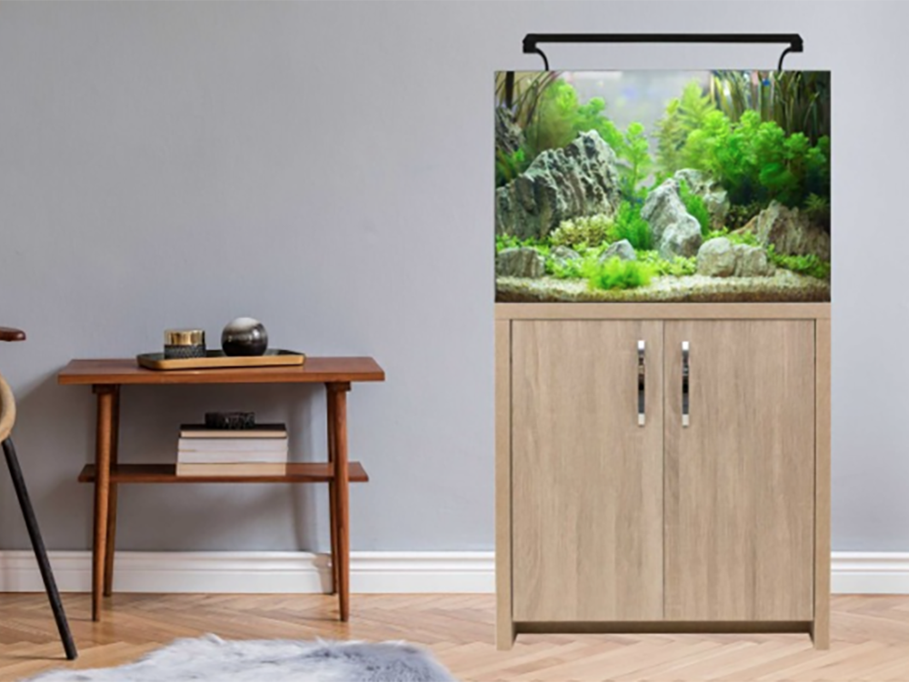 如何在不杀死鱼的情况下进行换水？