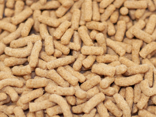 我什么时候应该开始喂食小麦胚芽？