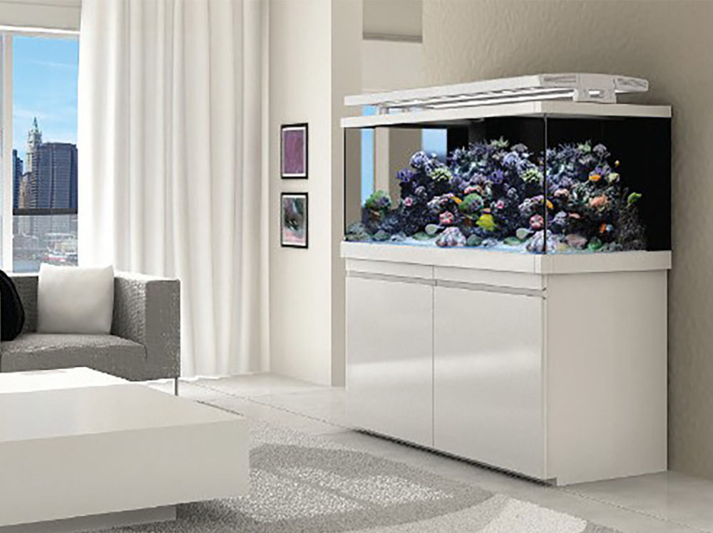 海水缸的pH值应该是多少？