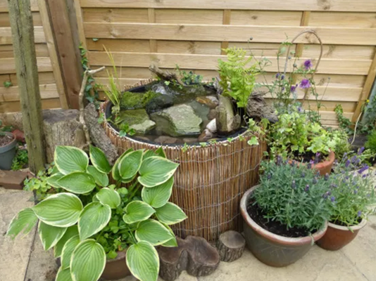 预算内的池塘创意