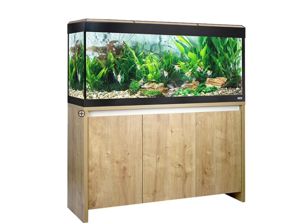 我想开始养鱼。我需要知道什么？