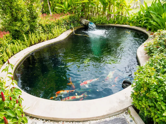 终极池塘项目！