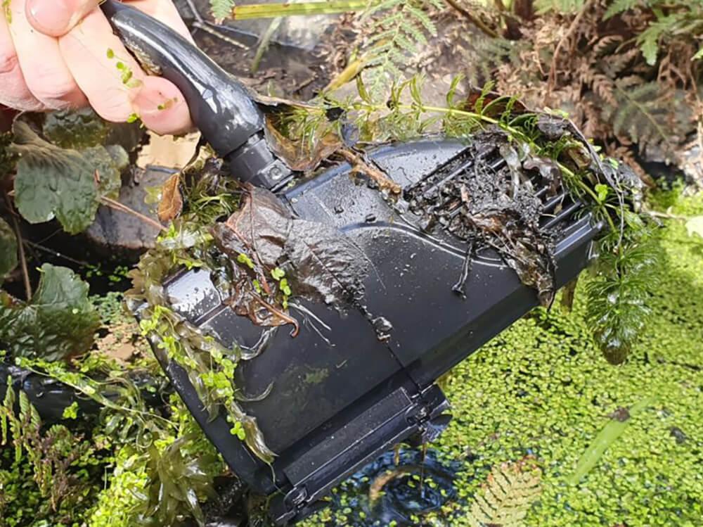 如何清洁池塘水泵