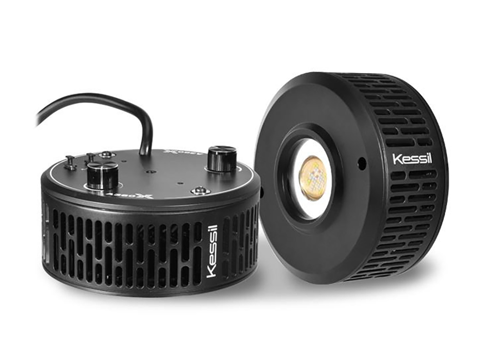 最佳礁岩水族箱照明是什么？