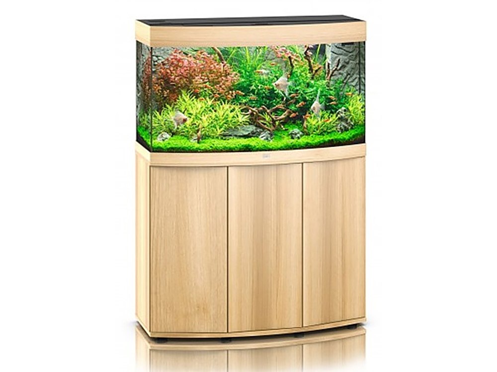 如何设置朱瓦尔水族箱