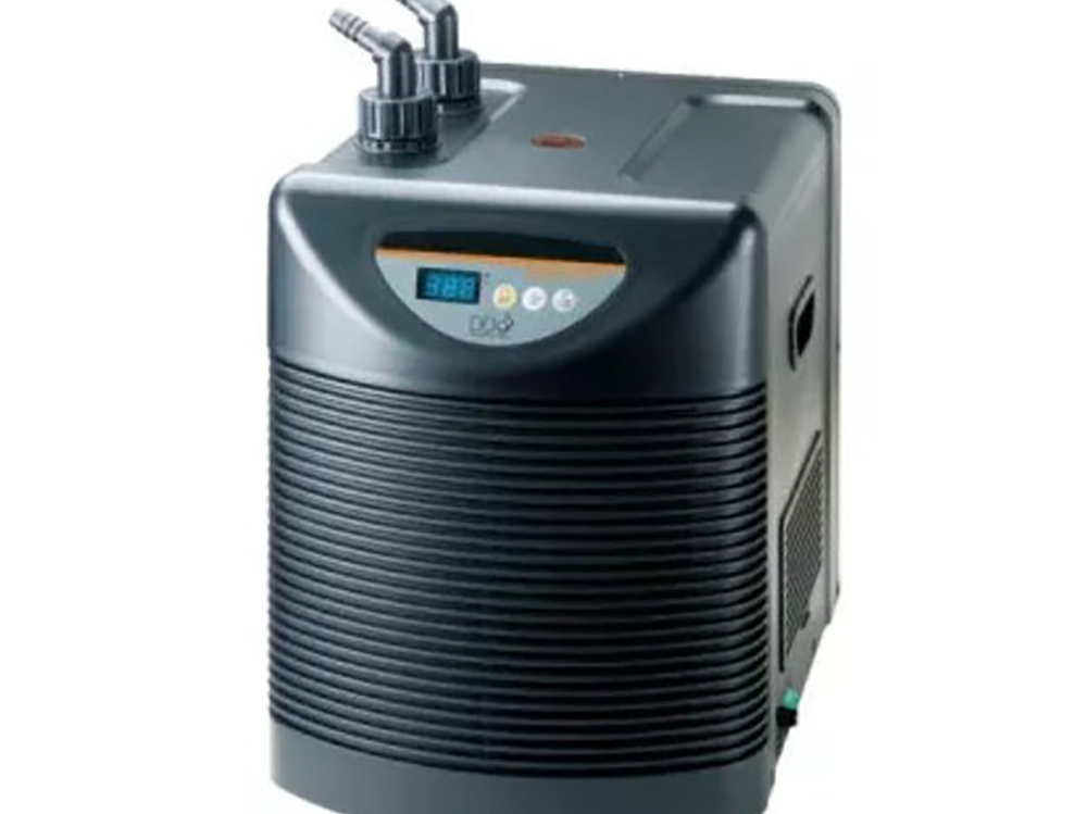 如何让鱼缸降温并防止水族箱过热